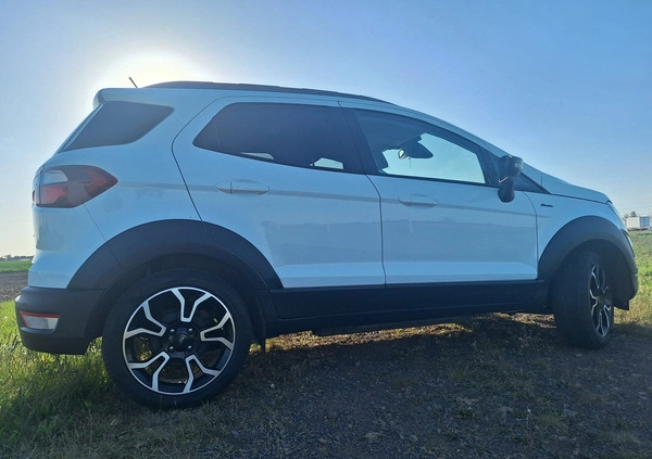 Ford EcoSport cena 72500 przebieg: 53150, rok produkcji 2020 z Września małe 631